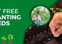 Get Free Seeds for Planting: Limited Time Offer Get Free Seeds for Planting: Limited Time Offer