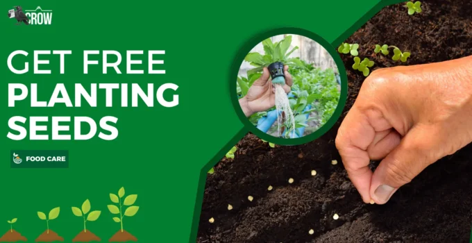 Get Free Seeds for Planting: Limited Time Offer