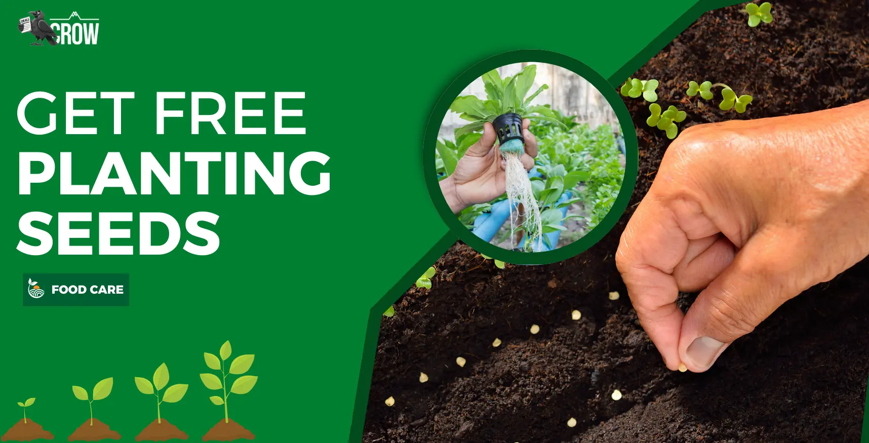 Get Free Seeds for Planting: Limited Time Offer - Deals Crow - New ...