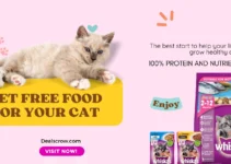 Free Cat Food Samples in India | Get Free Food For your Cat Free Cat Food Samples in India | Get Free Food For your Cat
