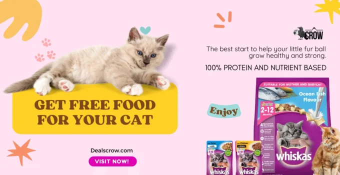 Free Cat Food Samples in India | Get Free Food For your Cat